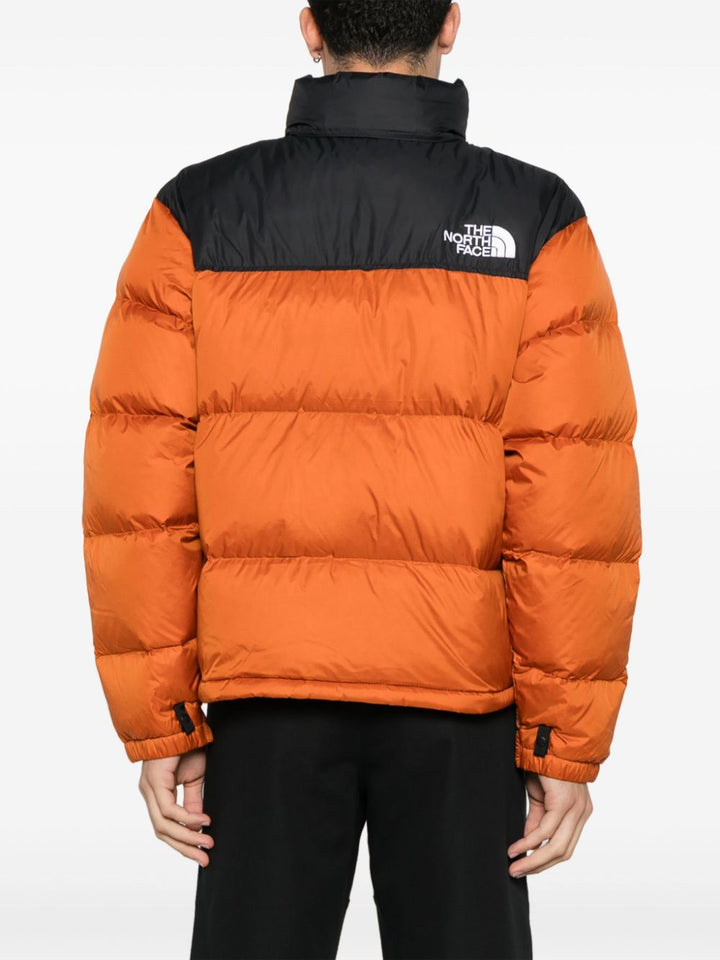 The North Face NF0A3C8D5PO1