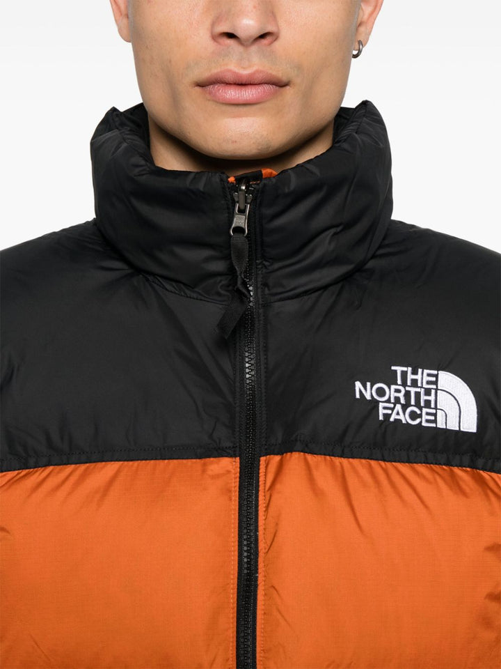 The North Face NF0A3C8D5PO1