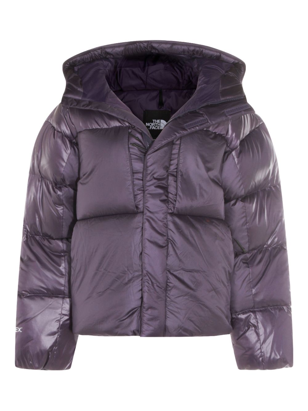 The North Face NF0A8DQB1JI1