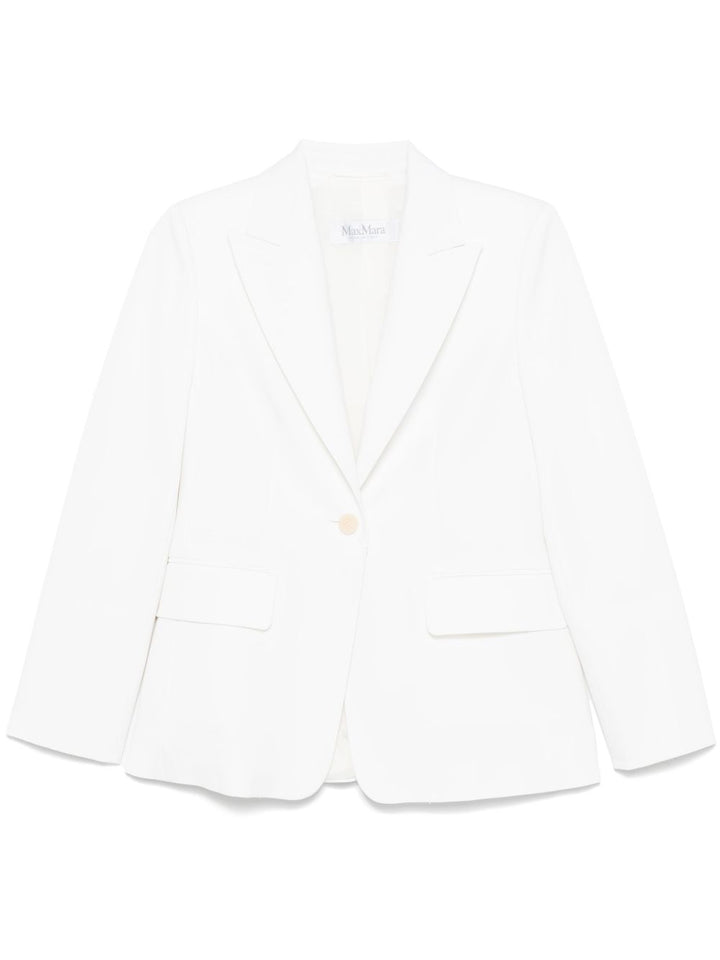 Max Mara PRIMAVERA PALCHI 2511041021600001